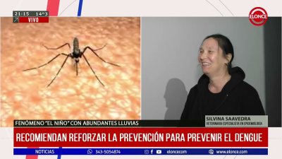 Fen&oacute;meno "El Ni&ntilde;o": recomiendan reforzar la prevenci&oacute;n para prevenir el dengue